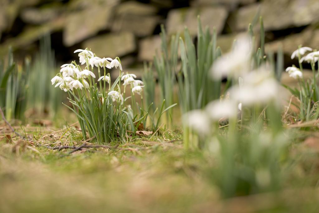 Yha Buttermere Exterior foto